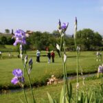 Golf Club Centanni3