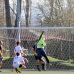 Sancat Grevigiana (12)