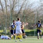 Sancat Grevigiana (13)