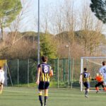 Sancat Grevigiana (16)