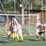 Sancat Grevigiana (17)