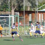 Sancat Grevigiana (26)