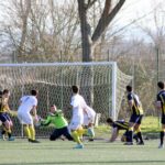 Sancat Grevigiana (3)