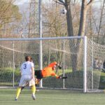 Sancat Grevigiana (7)