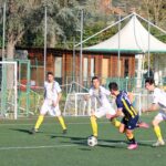 Sancat Grevigiana (9)