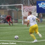 schenone