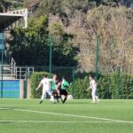 tavarnuzze mercatale 6