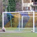 Grevigiana San Polo 21