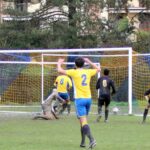 Grevigiana San Polo 7