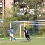 Grevigiana Raddese (11)