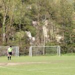 Grevigiana Raddese (14)