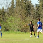 Grevigiana Raddese (15)