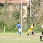 Grevigiana Raddese (17)