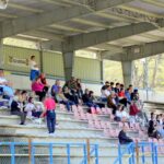 Grevigiana Raddese (33)