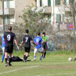 Grevigiana Raddese (6)
