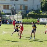San Polo Legnaia P1020113