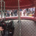 Chianti Baseball Festa dello SPort Greve4