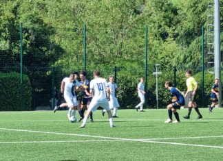 Tavarnuzze San Polo 6