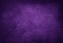 Perché non dovete diffondere il video della bambina del “Franchi” (e perché questo articolo ha questa foto…)