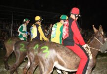 Festa Arte e Sport-Palio dei Ciuchi: al via oggi (fino al 23 giugno) a Cerbaia