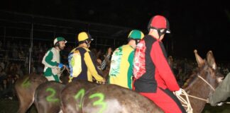 Festa Arte e Sport-Palio dei Ciuchi: al via oggi (fino al 23 giugno) a Cerbaia