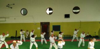 A Bagno a Ripoli la Festa delle Arti Marziali: Empi Dojo presente con il gruppo Karaterzetà