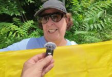 VIDEO / La partenza del Tour de France dal km 0 nel comune di Bagno a Ripoli