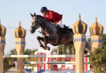 Campionati europei di salto ostacoli Veterans: cavaliere e cavallo barberinesi portano in alto l’Italia