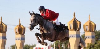 Campionati europei di salto ostacoli Veterans: cavaliere e cavallo barberinesi portano in alto l’Italia