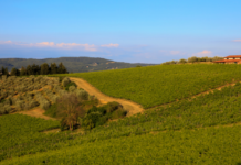 “Di Borgo in Borgo”: la passeggiata naturalistica con soste gastronomiche rimandata a domenica 22 settembre