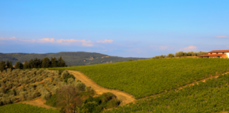 “Di Borgo in Borgo”: la passeggiata naturalistica con soste gastronomiche rimandata a domenica 22 settembre