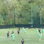 Galluzzo Levane P1020413