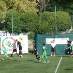 Galluzzo Levane P1020414