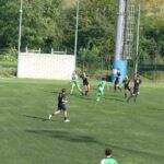 Galluzzo Levane P1020415
