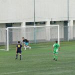 Galluzzo Levane P1020418