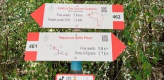 Camminare lungo la Pesa: seguendo storie, leggende e i passi di San Giovanni Gualberto