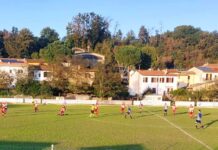 È l’ora di tornare in campo: oggi si giocano tutte le coppe, dalla Serie D alla Promozione