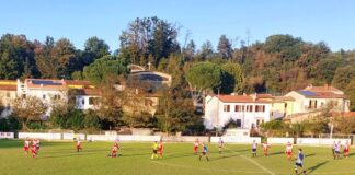 È l’ora di tornare in campo: oggi si giocano tutte le coppe, dalla Serie D alla Promozione