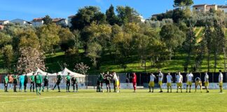 Anticipo, il Cubino beffato dalla Cerretese: Novi segna il gol-partita nella ripresa (0-1)