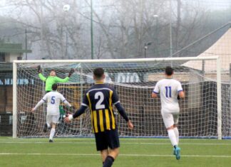 Tavarnuzze Grevigiana 25