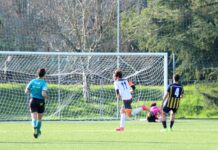 Saponetto + Lucie-Smith, la vicecapolista Bibe si impone 2-1. Alla Grevigiana non basta il gol di Salsi