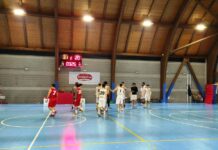 DR3, rissa fra BTB Tavarnelle e Valdelsa Basket: partita persa a entrambe. Squalifiche e provvedimenti in serie