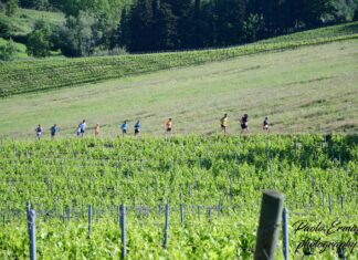 Chianti Classico Marathon7