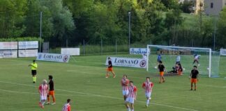 Ripescaggio ufficiale! La Libertas Barberino Tavarnelle giocherà in Promozione il campionato 2025/26