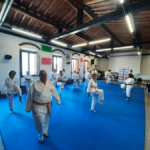Seminario Karaterzetà15_OK
