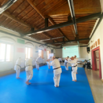 Seminario Karaterzetà3_OK
