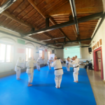 Seminario Karaterzetà5_OK