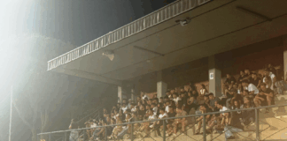 Champions Cup Fratres, stasera tre finalissime. La super analisi delle sei squadre che scenderanno in campo