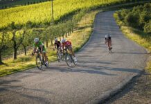 La Gallo Nero: in pieno fermento il cantiere della cicloturistica ufficiale nel territorio del Chianti Classico
