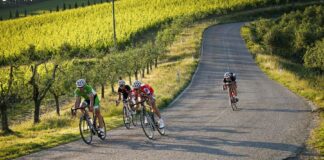 La Gallo Nero: in pieno fermento il cantiere della cicloturistica ufficiale nel territorio del Chianti Classico